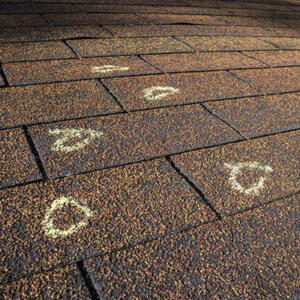 Indianapolis Roofing Contractor – Everything You Need to Know Circles on roofing shingles marking damage on a roof.